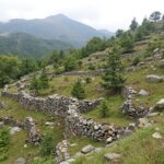 la banque centrale de la rdc annonce la date limite pour l'arrêt des paiements en dollars en espèces, marquant la fin de l'usage du dollar dans les transactions quotidiennes.